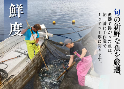 ひもの詰め合わせセット①　【 干物 】