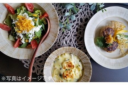 【波佐見焼】Shabby chic style 25cm プレート 2枚セット（senダーク） 食器 皿 【和山】 [WB102]  波佐見焼