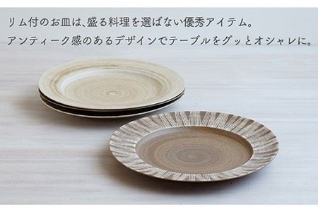 【波佐見焼】Shabby chic style 25cm プレート 2枚セット（senナチュラル） 食器 皿 【和山】 [WB104]  波佐見焼