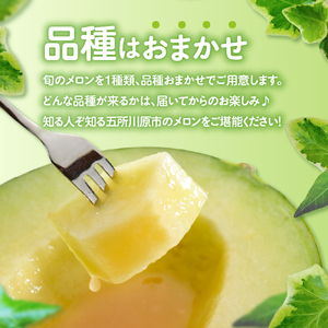 【2026年8月上旬発送】津軽産 青肉 メロン 約5kg ( 3~6玉 ) ご家庭用 品種おまかせ 【青森メロン】