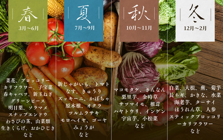 旬の野菜セット 2ヶ月の定期便　【 野菜 】