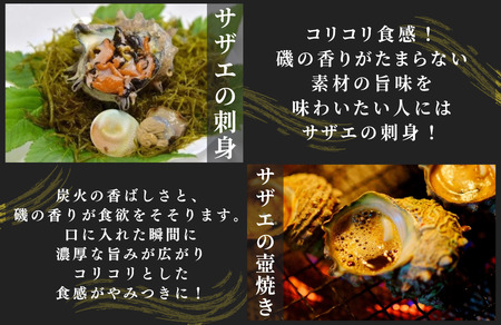 伊豆の海鮮よくばり便　~海産物詰め合わせ~　【 海鮮 】