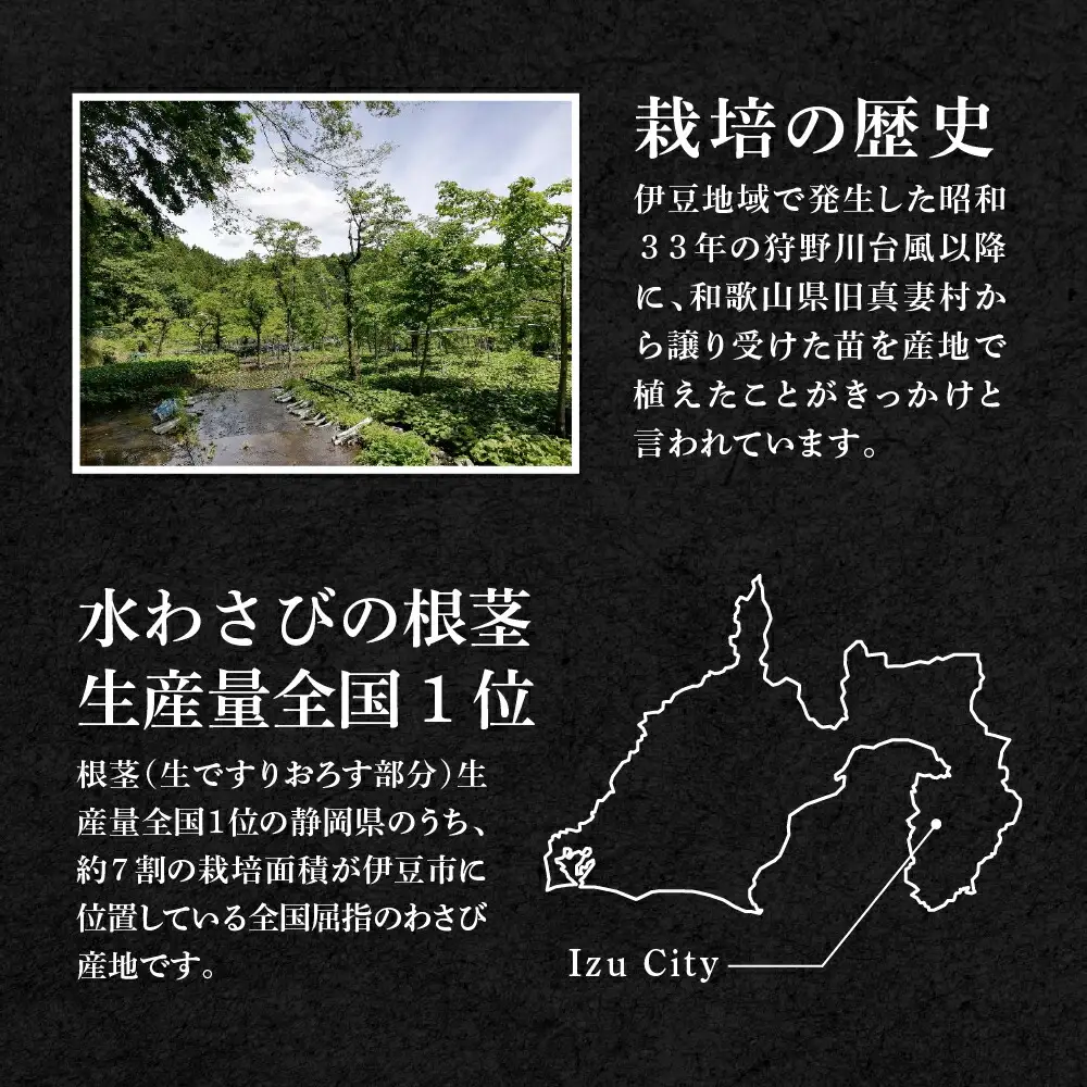 わさび 伊豆本格生わさび「真妻」堪能セット　012-005