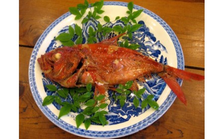 青木さざえ店の海産物おまかせ2回便　　【 魚介 】