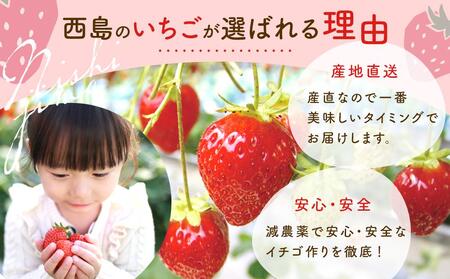 【先行予約】いちご 700g フルーツ イチゴ 西島園芸団地