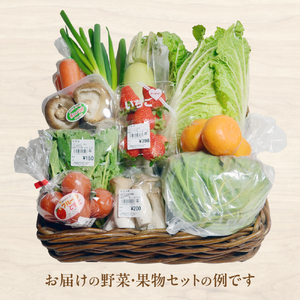 大師の里のとれたて旬の野菜と果物の詰め合わせ 人気 野菜 詰合せ 詰め合わせ セット 新鮮野菜 詰め合わせセット 野菜セット 季節の野菜 ほうれん草 かぼちゃ 白菜 トマト キャベツ 三重県 多気町 FY-02