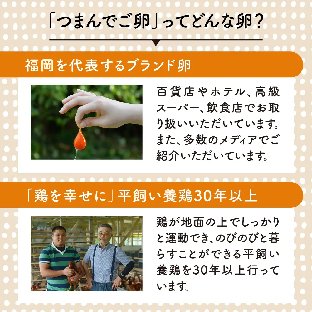 【プリップリな卵黄！】つまんでご卵 40個セット 卵 たまご 糸島 / 緑の農園 [AGA011] ランキング 上位 人気 おすすめ 生卵 鶏卵