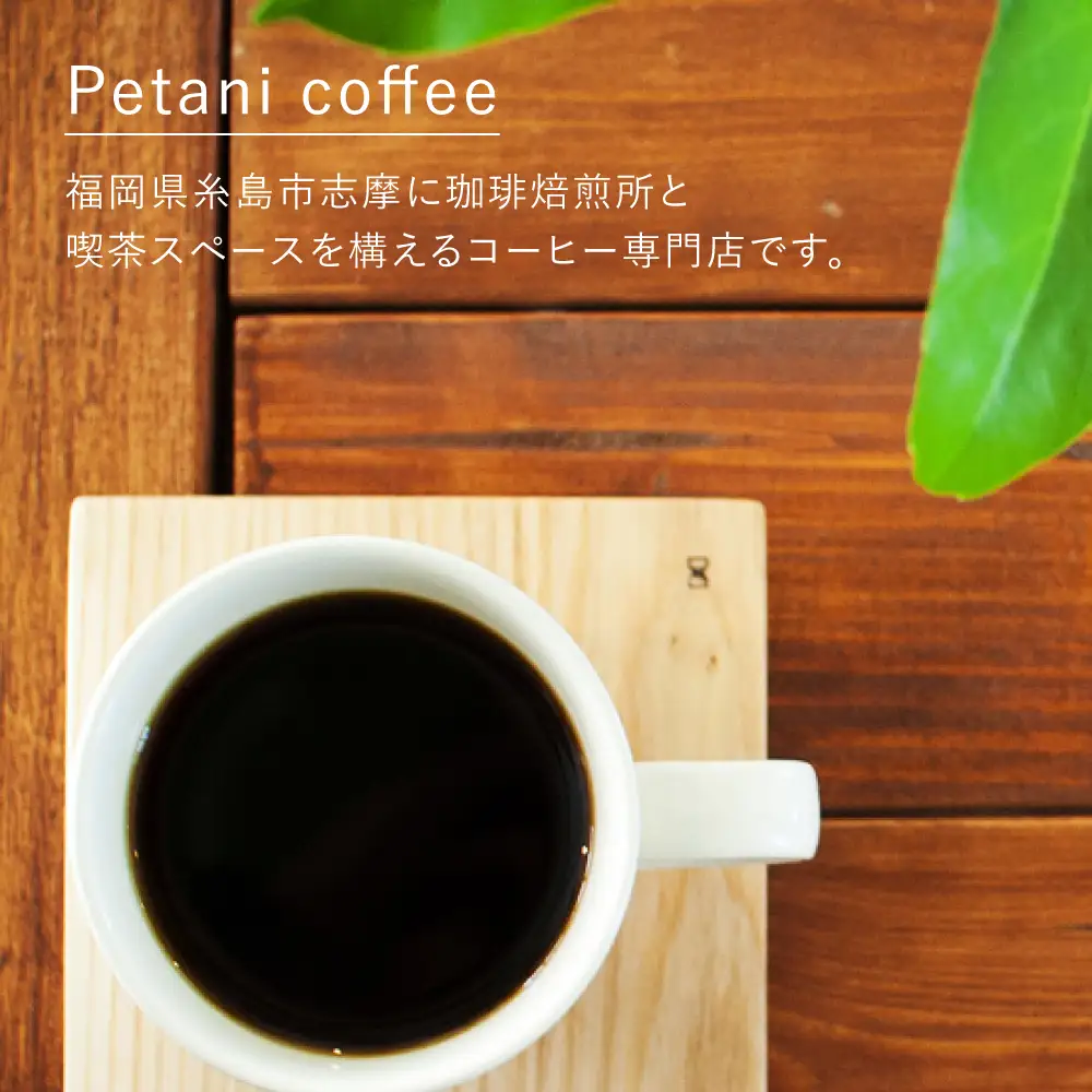 アイスコーヒー ゲイシャ種 3本 セット 糸島市 / Petani coffee [ALC009]