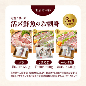 定期便定番シリーズ活〆鮮魚のお刺身(3ヶ月お届け) 【着日指定】定期便 3ヶ月 ぶり シマアジ カンパチ 延岡産 活〆 鮮魚 真空パック 刺身 脂のり しゃぶしゃぶ カルパッチョ 海鮮 魚 魚介類 厳選 新鮮 簡単 旬 チルド 冷蔵 解凍不要 国産 日向灘 宮崎県 延岡市 送料無料 N019-YD0198