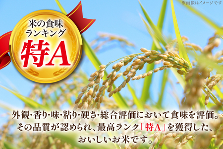 12回 定期便 JA新すながわ産 ななつぼし 10kg×12回 総計120kg [ホクレン商事 北海道 砂川市 12260802] 