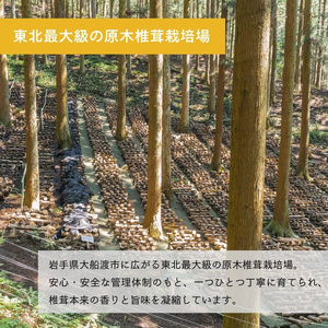 【予約】 原木乾しいたけ 200g(100g×2) 椎茸 ＼ しいたけ ／