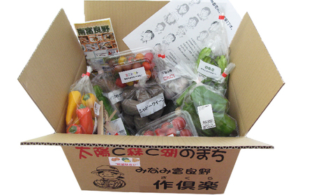 野菜 北海道 おまかせ 旬 野菜セット 南ふらの町 産地直送 旬の野菜 詰め合わせ セット ミニトマト きゅうり ズッキーニ なす とうもろこし ピーマン 夏野菜 夏 秋 2026年発送 