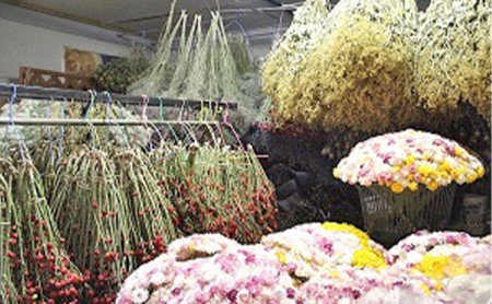 ＜おうちでアレンジ！＞ドライフラワー（白色系）プレゼント付 北海道 南富良野町 ドライフラワー 花 お花 華 花束 ファッション小物 インテリア 贈り物 