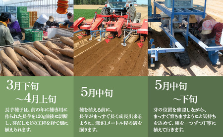 北海道 十勝の大地が育てたシャキシャキ食感と強い粘り 幕別産 長いも Lサイズ 5kg ［木川商店］【 長いも 長芋 ながいも ナガイモ とろろ 芋 いも 野菜 10kg 5kg  産地直送 旬 濃厚 北海道 十勝 幕別 】 