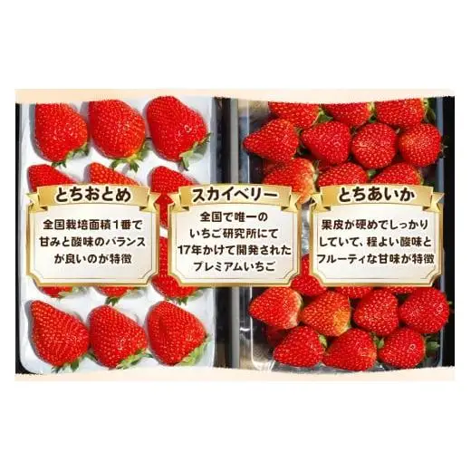 いちご3品種 食べ比べセット 960g(とちあいか・スカイベリー・とちおとめ)