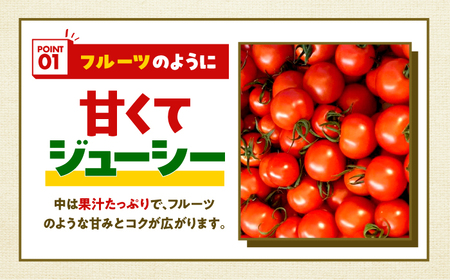 めぐみでぃトマト100%ジュース　500ml×3本　若狭の恵 小浜市 / 若狭の恵 [BFAG002]