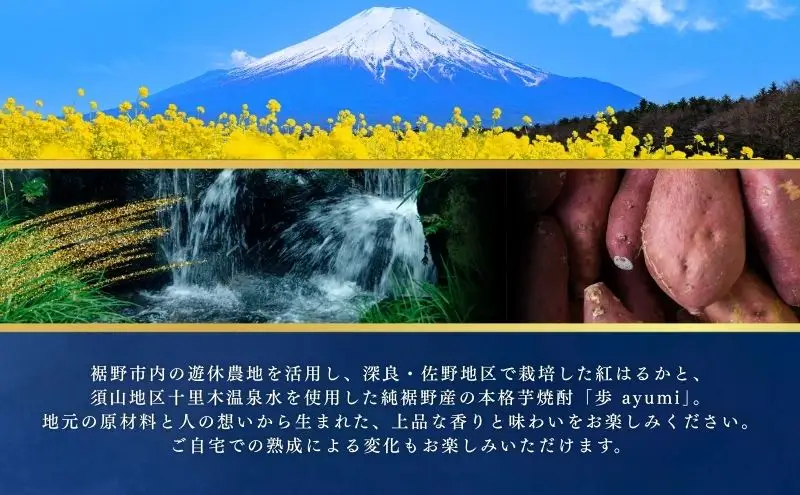 本格芋焼酎　歩 ayumi　化粧箱入 お酒 酒 いも アルコール 