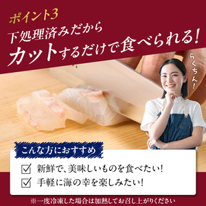 朝締め穂州鯛 サク4人前（6月配送）／ 真鯛 刺身【B125-06】