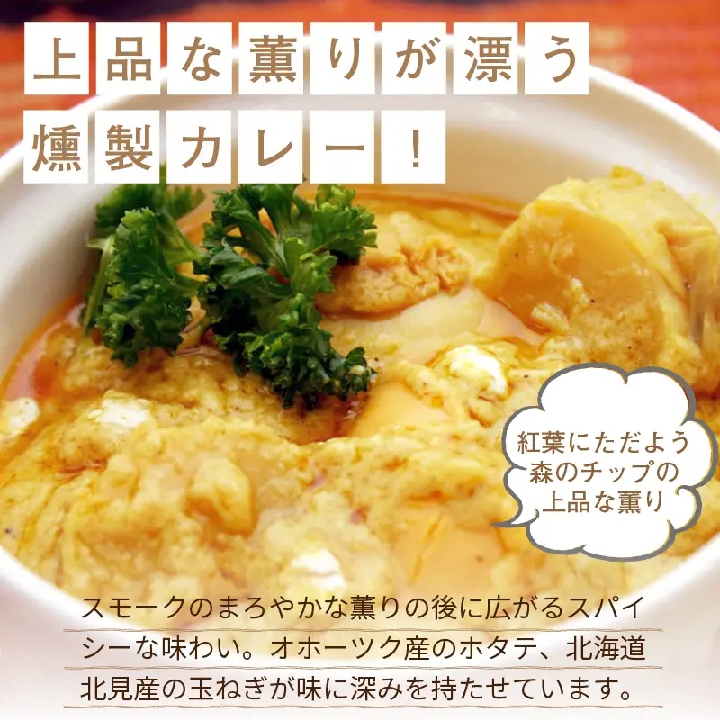 クリシュナ 春夏秋冬オホーツクカリー4食セット 手焼きナン付 ( 食品 加工品 惣菜 カレー ナン セット 五つ星ホテル オホーツク海 オホーツクカレー )【127-0018】