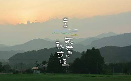 【先行予約】令和8年産 立山 天空の散歩道 吟撰米 精米 10kg×1袋 立山天空米 低温精米 国産 米 お米 日本米 ギフト 贈り物 備蓄 防災 食品 F6T-760