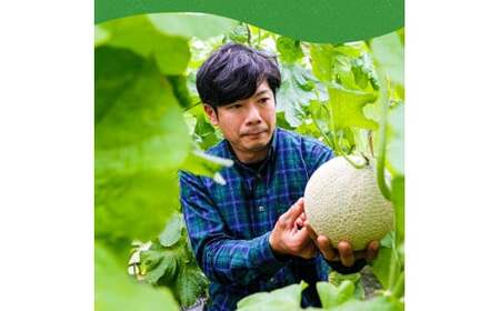 《6ヶ月定期便》“高知県産”高級マスクメロン（ご贈答・ギフト用）1玉入【発送期間：4月～12月（9カ月）】【1月～3月は気候温度不安定の為出荷不可となります。】