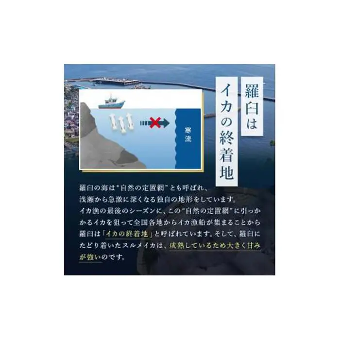 知床羅臼産するめいかの一夜干し8枚セット（1枚 250g 前後）イカ 酒の肴 おつまみ 国産 北海道