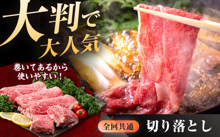 【6回定期便】佐賀牛 定期便 / 牛肉 [IAG078]