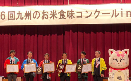 令和7年産 さがびより 20kg（白米）/お米 [IBL002]
