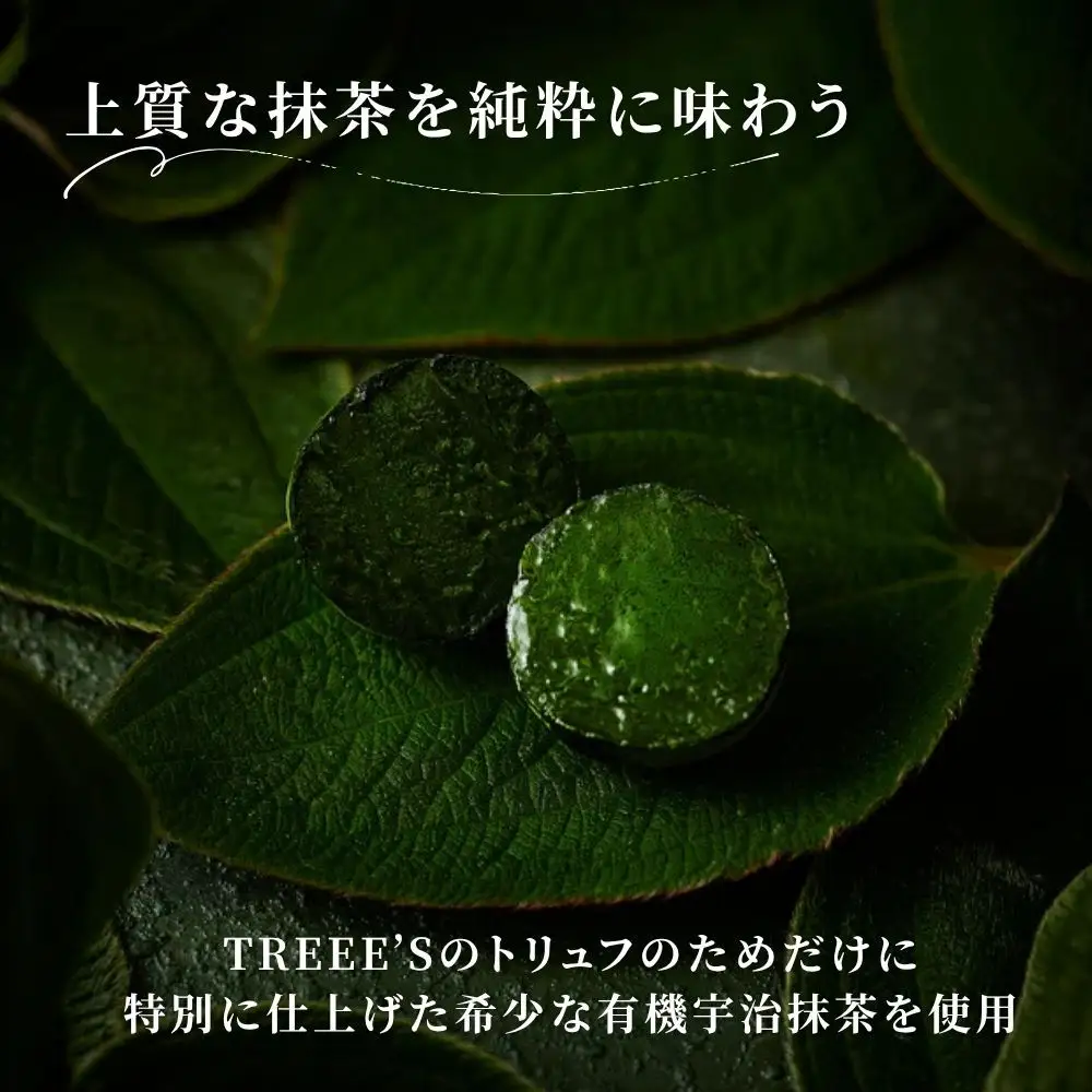 【TREEE’S】お濃茶トリュフチョコレート 3個入×3箱セット(京都/ギフト/洋菓子/抹茶/スイーツ)