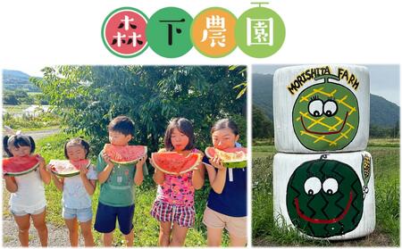 ＜2026年8月上旬より順次お届け＞北海道壮瞥産 小玉すいか（赤肉・ピノガール）2玉 約3kg スイカ SBTN004