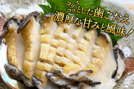 【期間限定発送】 海鮮 訳あり 三陸産 活アワビ 800g (7～8個) [マルヤ五洋水産 宮城県 南三陸町 30al0006]