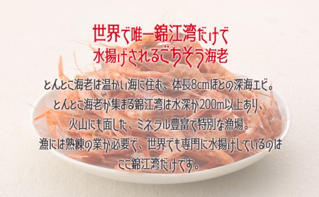 A1-0751／垂水スープセットエコ　いんげん＆とんとこ海老