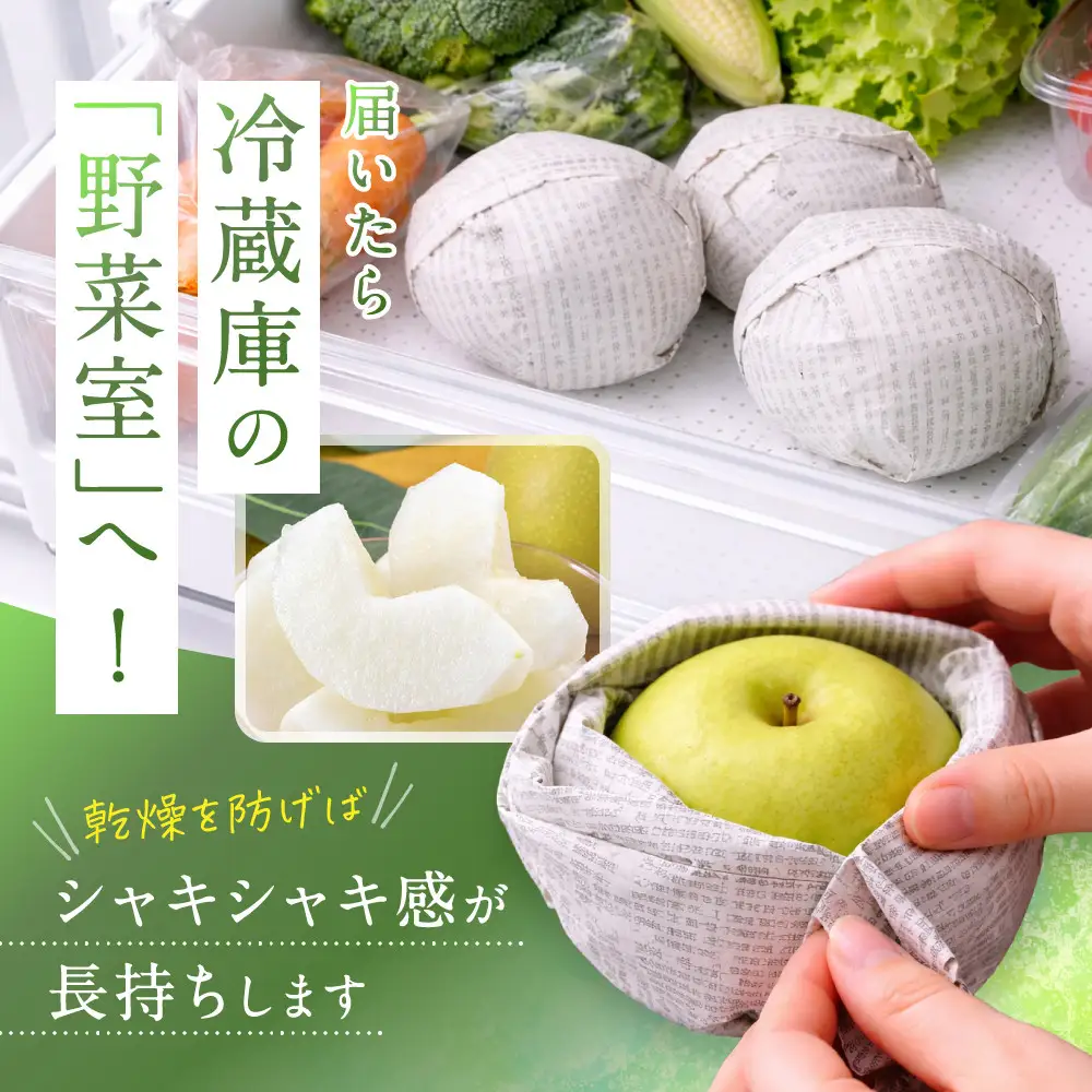 二十世紀梨 訳あり 3キロ（砂丘のなし屋さん）