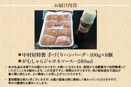 中村屋特製　手づくりハンバーグ（100g×8個　ソース付）　AM001