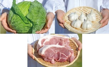 【高島屋選定品】 はちやの餃子セット 塩竈市×高島屋コラボ 宮城県【04203-0356】 