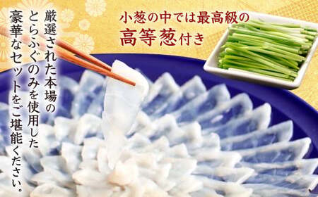 【指定日必須】豪華 とらふぐ三昧セット (刺身・鍋2～3人前)