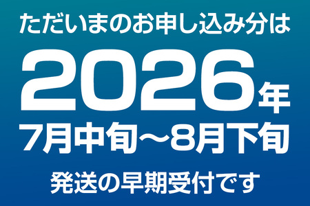 《2026年7月中旬～8月下旬発送》男鹿産天然鮑 2個 (約250～280g) あわび アワビ 秋田 男鹿産