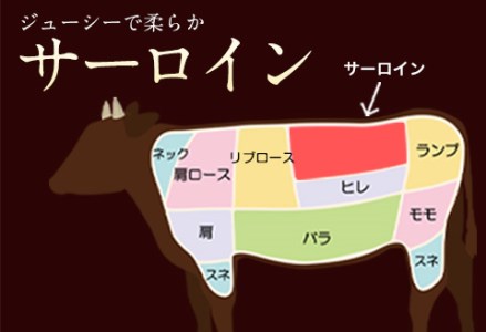 牛肉 あか牛 サーロイン ステーキ 500g ( 250g × 2枚 ) 牛肉 冷凍 《30日以内に出荷予定(土日祝除く)》 訳あり 定期便 でない 冷凍庫 個別 取分け 小分け 個包装 ステーキ肉 あかうし 赤牛 あか牛丼 にも サーロインステーキ