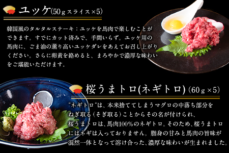 厳選プレミアムスライス馬刺しセット 950g 《60日以内に出荷予定(土日祝除く)》 馬肉 冷凍  新鮮 さばきたて 真空パック SQF ミシュラン 生食用 肉