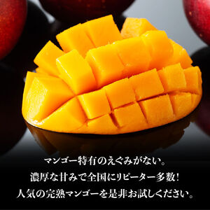 【令和8年発送】宮崎マンゴー 太陽の子３玉（1kg以上） 【 果物 くだもの フルーツ 宮崎マンゴー 】