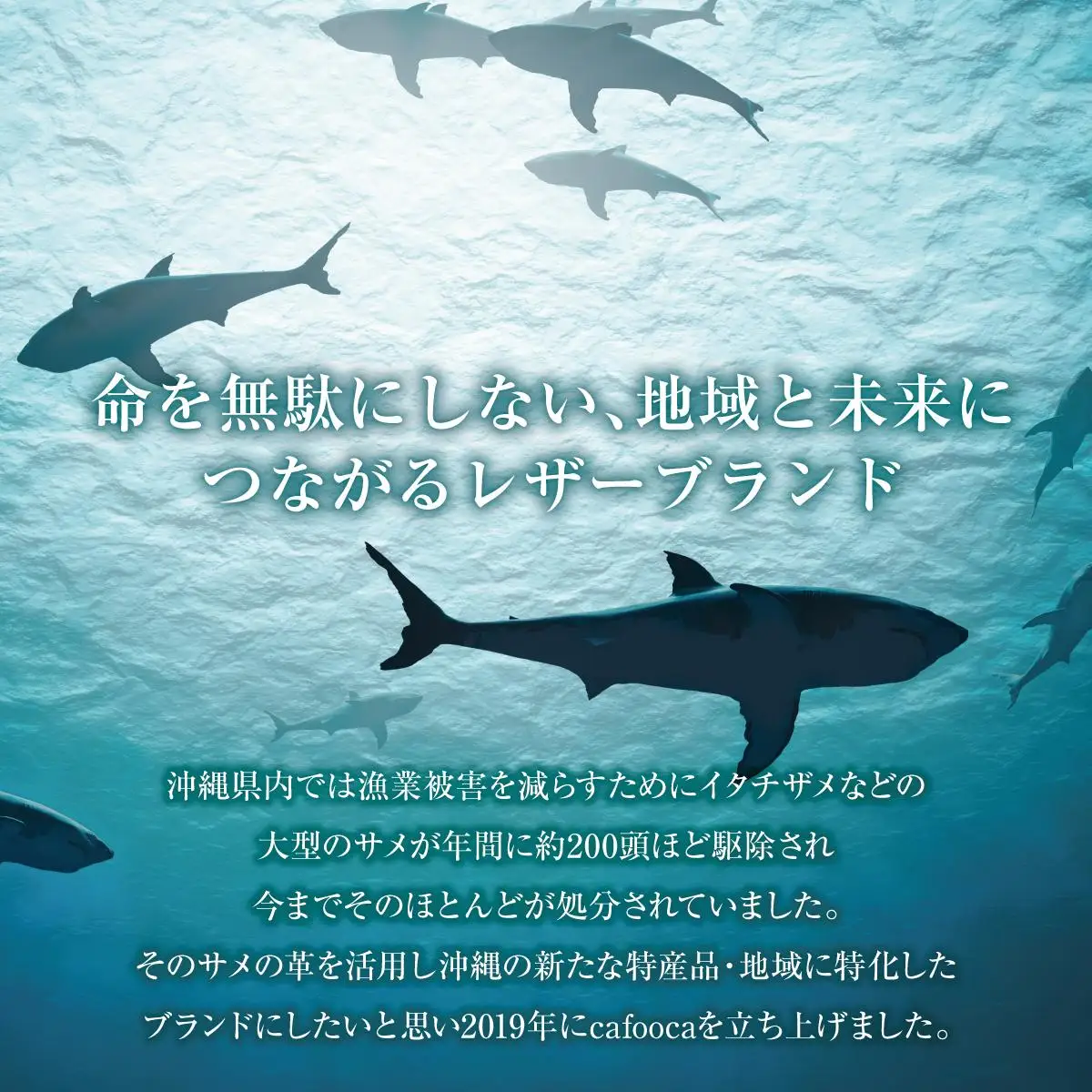 二つ折り財布/BLACK   