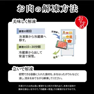 【プレミアム定期便】大分が誇る おおいた和牛・豊後牛毎月お届け定期便（12回）  T10020