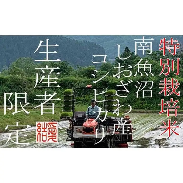 【令和7年産】【定期便10Kg×3ヶ月】【特別栽培米】 契約生産者限定  南魚沼しおざわ産コシヒカリ【定期便 銘柄米 ブランド米 精米 こしひかり コシヒカリ 魚沼産 新潟米 産地直送 お米 米 こめ コメ ご飯 御飯 ごはん】