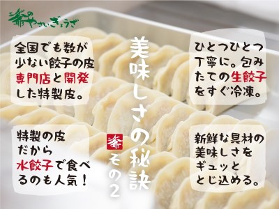 ttm144国産素材にこだわったシゲ爺のやさいぎょうざ