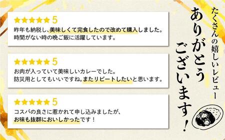 飛騨牛カレー  &トマトカレー  計12袋  | 訳あり ビーフ カレー 常温 ふるさと清見 DC004VC13