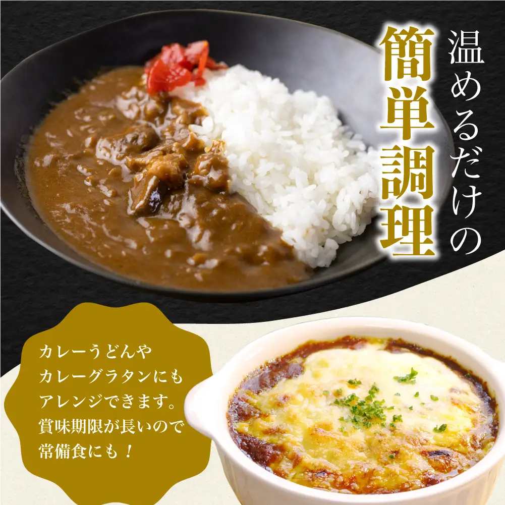 【ふるなび限定】飛騨牛カレー13袋 訳あり |  ビーフ レトルト 訳あり ふるさと清見 DC006-CP01　FN-Limited-VO
