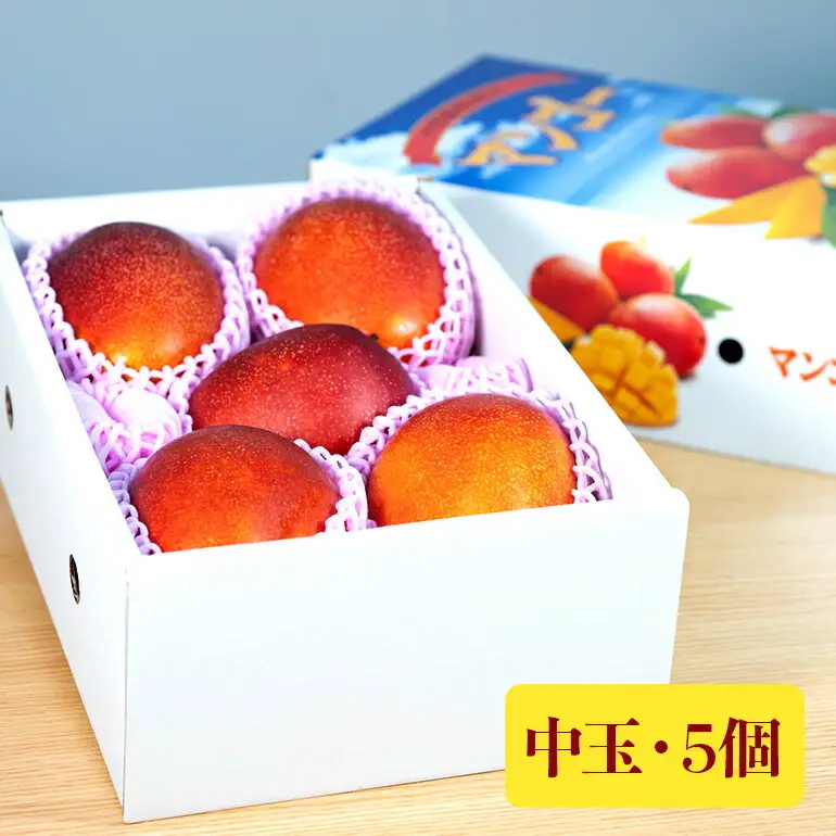【 先行予約 2026年 発送 】 優秀賞受賞のかしみ園 アップルマンゴー 2kg 沖縄県産 マンゴー アーウィンマンゴー 2キロ 国産 完熟マンゴー 果物 南国 くだもの フルーツ 完熟 夏 旬 特産品 沖縄 お取り寄せ 産地直送 農家直送 甘い 濃厚 糸満市 18-4