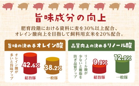白川郷 結旨豚 ブロック肉 4種 計2kg ｜ ブロック肉   [S225]