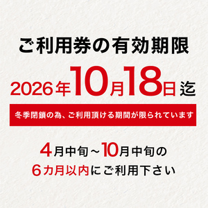 FYN6-538 月山スキー場ペアリフトで使える リフトご利用券 9000円分 月山スキー 月山登山 スキー 登山 山登り ハイキング トレッキング 旅行 体験 チケット 山形県 西川町 月山