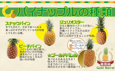 パイン【2026年発送】先行予約 ゴールドバレル 3玉 （約4.0kg） パイナップル